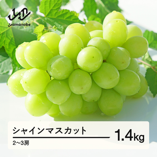 [先行予約]シャインマスカット ぶどう 約1.4kg 2~3房 令和8年産 2026年産 果物 ※沖縄・離島への配送不可 mm-busmx3