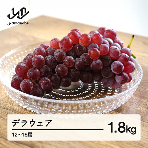 [先行予約]デラウェア 約1.8kg 令和8年産 2026年産 果物 葡萄 ぶどう ※沖縄・離島への配送不可 mm-budwx1800