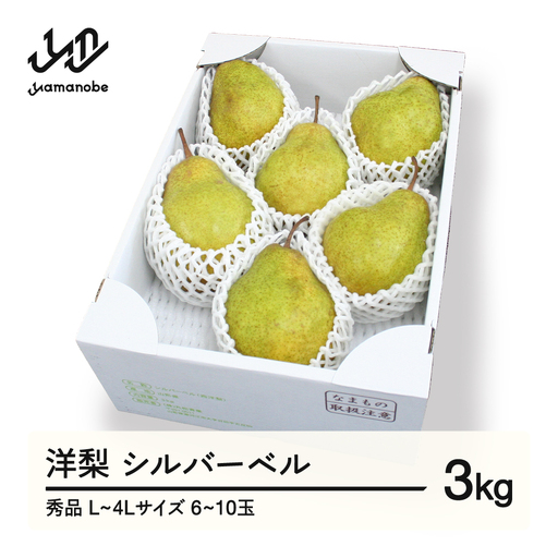 【先行予約】シルバーベル L~4L 秀品 3kg 洋梨 令和8年産 2026年産 果物 ※沖縄・離島への配送不可 mm-sbsxx3