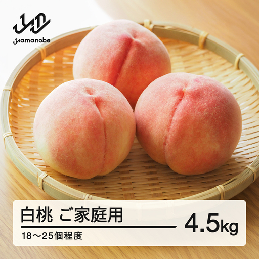 《先行予約》2026年 山形県産 白桃 柔らかくなる桃 品種おまかせ ご家庭用 4.5kg  ※沖縄・離島への配送不可 ts-mohtk4500