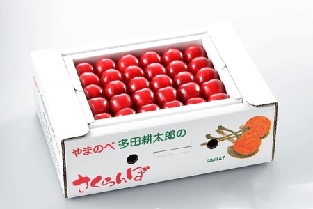 [先行予約]2025年 山形県産 紅秀峰 本詰め 約500g 2L やまのべ多田耕太郎のさくらんぼ サクランボ F20A-046