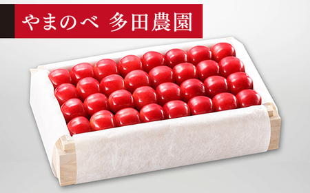 ss\t2026N R`Y I_CAiuCg ˔l 700g 2Lȏ ܂̂בckŶ TN{ F20A-057