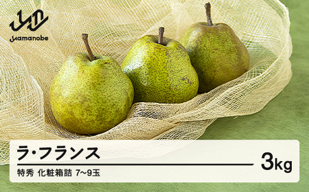 [先行予約]山形県産 西洋梨(ラ･フランス) 約3kg 2025年産 令和7年産 特秀 化粧箱詰(7〜9玉) F20A-072