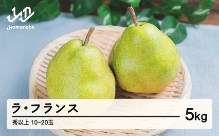 [先行予約]2025年 山形県産 西洋梨(ラ･フランス)約5kg･秀以上(10〜20玉)2025年11月上旬頃順次発送 果物 くだもの フルーツ 秋果実 ラフランス F20A-073