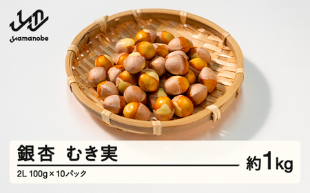 ≪先行予約≫ 山形県産 銀杏 むき実 2L 約1kg(100g×10パック) ぎんなん おつまみ 真空パック 個包装 小分け 秋 野菜 F20A-733