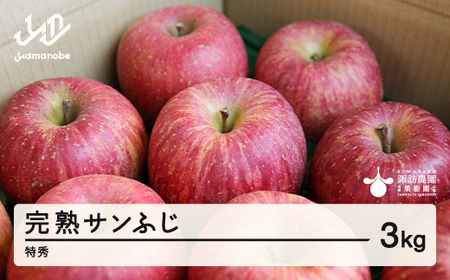 [先行予約]2024年 山形県産 完熟 サンふじ りんご 特秀品 3kg 7〜12個 2024年12月上旬から順次発送 リンゴ フルーツ F20A-902