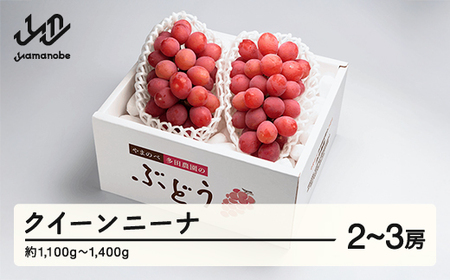 ss\t2026NY NC[j[i2~3[ ܂̂בc_̂Ԃǂ F21A-001