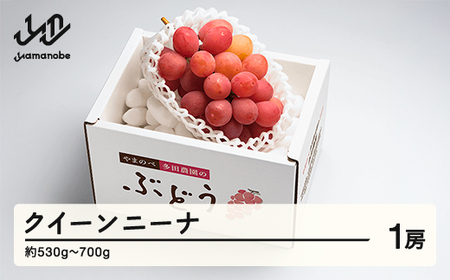 ss\t2026NY NC[j[i1[ ܂̂בc_̂Ԃǂ F20A-999