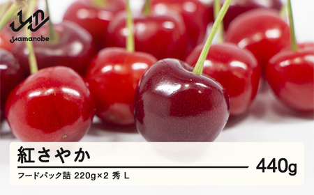 [先行予約]2026年 令和8年 山形県産 さくらんぼ 紅さやか フードパック詰 440g(220g×2 ) 秀 L 2026年6月上旬から順次発送 F20A-001