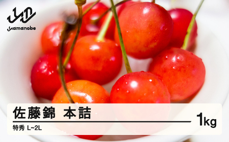 《先行予約》贈答用 2026年 山形県産 さくらんぼ 佐藤錦 1kg 特秀 L～2L 本詰 2026年6月上旬頃から順次発送 F20A-026