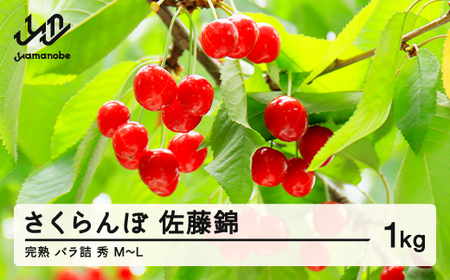 ss\t2026N R`Y   ̂ nol 1kg G M`L TN{ t[c ʕ F20A-015