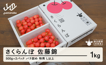 《先行予約》2024年 山形県産 さくらんぼ 佐藤錦 1kg(500g×2) バラ