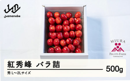 [先行予約]2026年 山形県産 令和8年産 さくらんぼ 紅秀峰 バラ詰500g 秀 L~2L ※沖縄・離島への配送不可 F20A-920