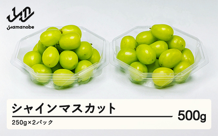 ss\tVC}XJbg _CpbN 250g×2pbN ܂̂בc_̂Ԃǂ uhE F21A-312