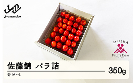 [先行予約]2025年 山形県産 さくらんぼ 佐藤錦 バラ詰め 350g 秀 M〜L サクランボ フルーツ 果物 F21A-343