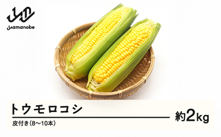 ≪先行予約≫ 2025年 山形県産 トウモロコシ 2kg以上(8〜10本)皮付き 2025年7月下旬から順次発送 野菜 とうもろこし F21A-369