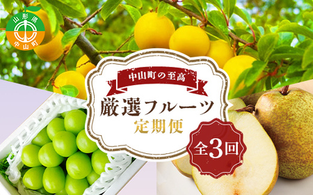 中山町の至高！ 山形県中山町 厳選フルーツ定期便 全3回 【2026年8月発送開始】 F4A-0384
