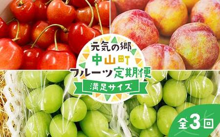 【2025年先行受付】《定期便3回》元気の郷 中山町フルーツ定期便 ～満足サイズ～ 佐藤錦 秋姫 シャインマスカット さくらんぼ サクランボ 葡萄 ぶどう ブドウ すもも スモモ 山形県産 フルーツ 果物 くだもの F4A-0392