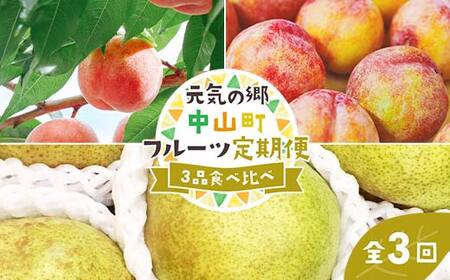 [2026年先行受付][定期便3回]元気の郷 中山町フルーツ定期便 〜3品食べ比べ〜 白桃 秋姫 ラ・フランス 桃 もも モモ 梨 洋ナシ 洋梨 すもも スモモ 山形県産 フルーツ 果物 くだもの