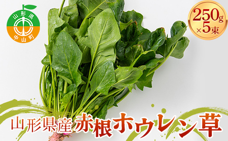 R` RY ԍzE 250g×5 y_z ق񂻂  ₳ F4A-0409