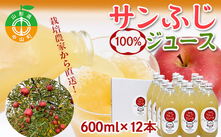 R`RY Tӂ100%W[X 600ml×12{ ߘa7NŶ񂲎gp 12{蔭Jn nӃt@[ S t[c ʕ  F4A-0414