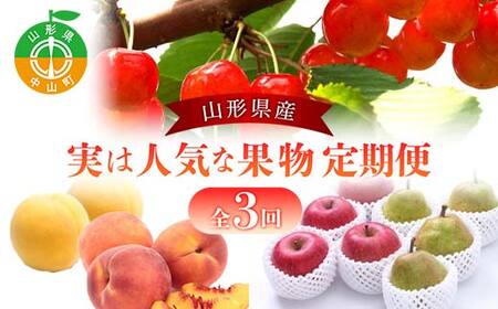 2026Nxy 3zR`Y ͐lCȉʕ  t[c  gG   EtX tX m   Tӂ R` R F4A-0419