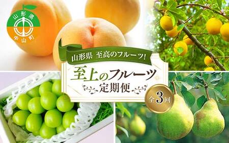 令和7年8月発送開始 山形県至高のフルーツ!山形県至上のフルーツ定期便 全3回