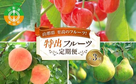 令和7年6月発送開始 山形県 至高のフルーツ!山形県特出フルーツ定期便 全3回