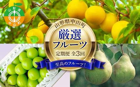 2025年8月発送開始 先行受付 山形県 至高のフルーツ! 山形県中山町厳選フルーツ定期便 全3回 桃 シャインマスカット ラ・フランス 山形県 中山町