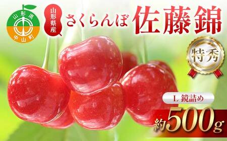 ystzڍ 500g L G l ʕ  t[c ĉʕ TN{ F4A-0949