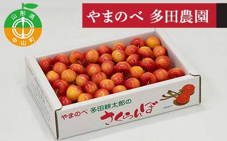 �s��s�\��t2026�N �R�`���Y ���[�j�A �o���l700g ��܂̂ב��c�k���Y�̂������� F4A-0998