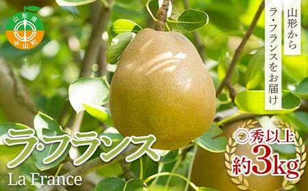 �s��s�\��t2026�N�x���� �R�`���Y ���t�����X���G�i�ȏ��3kg  F4A-0994