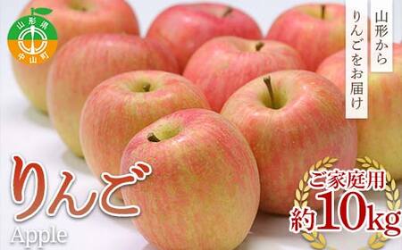 �s��s�\��t2026�N�x���� �R�`���Y ���ƒ�p���10kg  F4A-0995