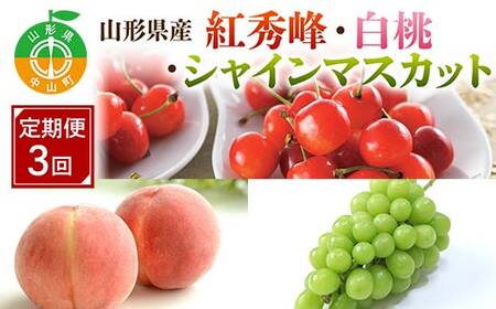 ��s�\�� 2026�N�x�����y�����3��z�R�`���Y�g�G��E�����E�V���C���}�X�J�b�g  F4A-0989