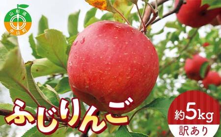 令和8年産 山形県産 サンふじりんご[訳あり] 約5kg 13玉〜25玉 数量限定 林檎 リンゴ フルーツ 果物 くだもの 家庭用