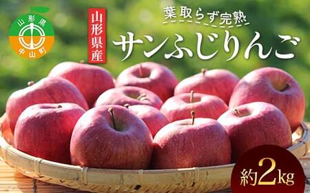 [2026年発送先行予約]山形県産 葉取らず完熟サンふじりんご 秀 約2kg 林檎 リンゴ フルーツ 果物 くだもの 山形県 中山町