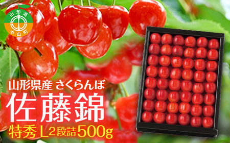 ≪先行予約≫2026年 山形県 中山町産 さくらんぼ 佐藤錦 特秀 L 2段詰 500g 2026年6月上旬頃より順次発送予定 露地栽培 果物 くだもの フルーツ 贈答 ギフト 数量限定 産地直送 農家直送