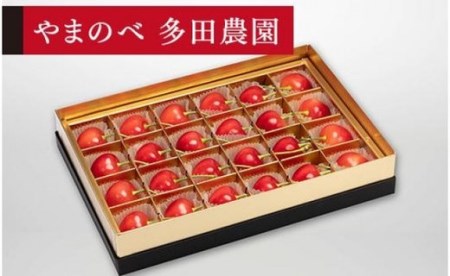 [2026年先行予約][珠玉のダイアナブライト]みやび箱 24粒[やまのべ多田耕太郎のさくらんぼ 多田農園]期間限定 数量限定