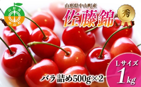 [2026年先行予約]果物の郷 中山町からお届けします!さくらんぼ「佐藤錦」期間限定 数量限定 山形県産 サクランボ フルーツ 果物 くだもの 贈答