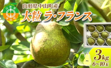 【2024年先行予約】山形県中山町産 大粒「ラ・フランス」3kg(6～10玉) 期間限定 数量限定 山形県産 フルーツ くだもの 果物 ラフランス ナシ 梨 洋なし 洋梨 F4A-0109