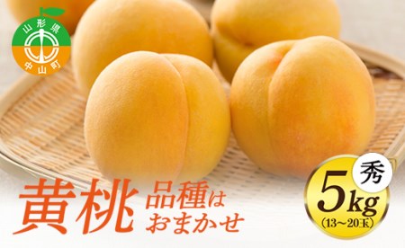 《先行予約・期間限定》山形県産 黄桃 秀5kg(13～20玉) 【品種おまかせ】期間限定 数量限定 もも モモ フルーツ 果物 くだもの F4A-0147
