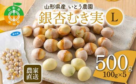 農家直送銀杏むき実 Lサイズ 500g(100g×5)山形県産 ぎんなん [いとう農園] 茶碗蒸し おつまみ 季節限定 簡単