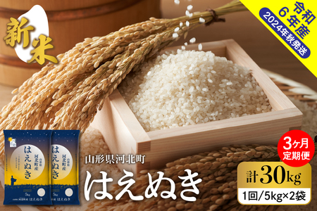 [令和6年産米]※2024年12月下旬スタート※ はえぬき30kg(10kg×3ヶ月)定期便 山形県産 [米COMEかほく協同組合] (お 白米 ブランド 精米 米どころ 大人気 お取り寄せ グルメ 弁当 おにぎり オススメ 山形県 河北町)