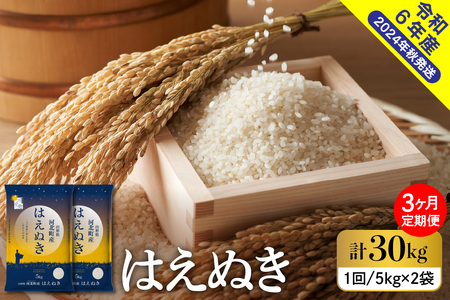 【令和6年産米】※2025年1月中旬スタート※ はえぬき30kg（10kg×3ヶ月）定期便 山形県産 【米COMEかほく協同組合】　（お米 白米 ブランド米 精米 米どころ 大人気 お取り寄せ グルメ 弁当 おにぎり オススメ 山形県 河北町）