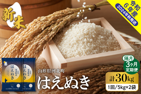 [令和6年産米]※2024年12月下旬スタート※ はえぬき30kg(10kg×3回)隔月定期便 山形県産 [米COMEかほく協同組合] (お 白米 ブランド 精米 米どころ 大人気 お取り寄せ グルメ 弁当 おにぎり オススメ 山形県 河北町)