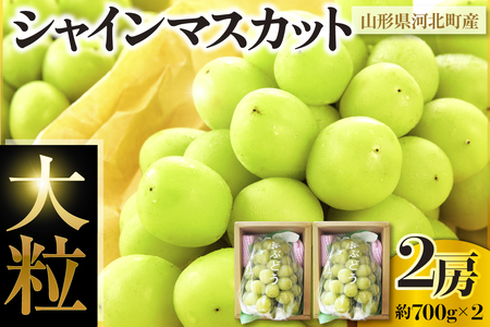 [はじまり農園 うの]大粒シャインマスカット2房(約700g) 山形県河北町産 [河北町観光物産協会]