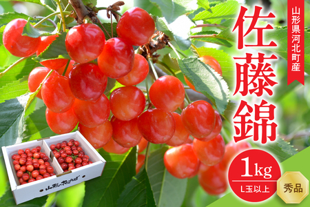 yߘa8NYz 1kg(500g×2pbN) Lʈȏ Mtg Gi R`YyR`eLabz t[c lC  ӂ邳Ɣ[ ͖k 2026NY ka074-034