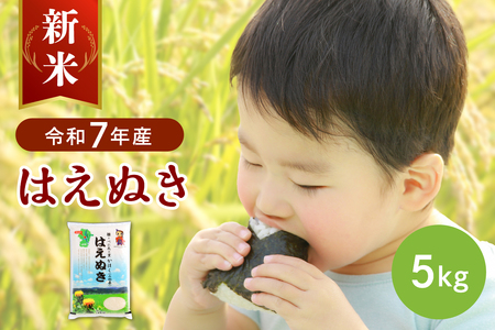 [令和7年産米]2025年10月下旬発送 はえぬき5kg 山形県産 [JAさがえ西村山]先行受付 米 送料無料 ブランド米 白米 精米 こめ ライス ごはん ご飯 おにぎり 弁当 食品 山形県 河北町