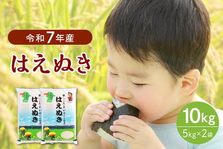 【令和7年産米】2026年2月上旬発送 はえぬき10kg 山形県産 【JAさがえ西村山】先行受付 米 送料無料 ブランド米 白米 精米 こめ ライス ごはん ご飯 おにぎり 弁当 食品 山形県 河北町