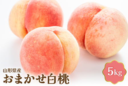 [令和7年産] おまかせ白桃 5kg[JAさがえ西村山]